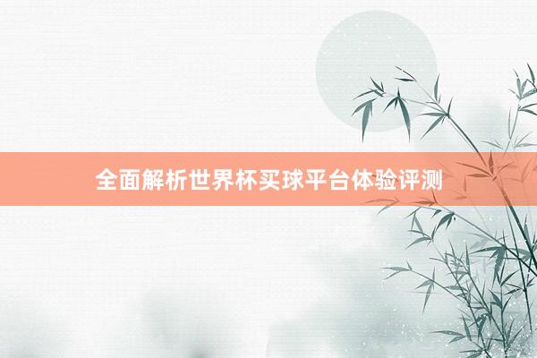 全面解析世界杯买球平台体验评测